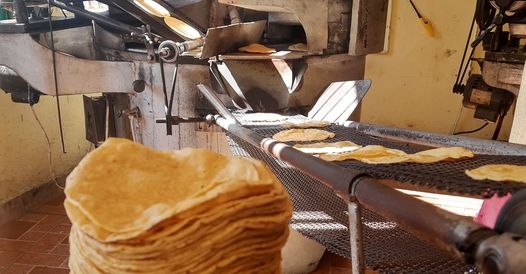 Anuncia alza de precio en el kilo de tortilla en Kanasín; esto costará