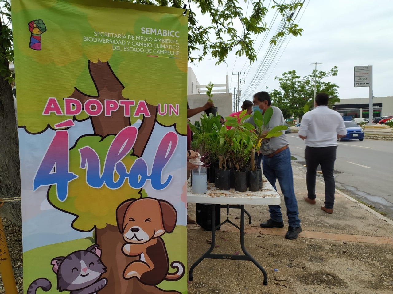 ‘Adopta un Árbol’, esta campaña regala más de tres mil árboles en Campeche