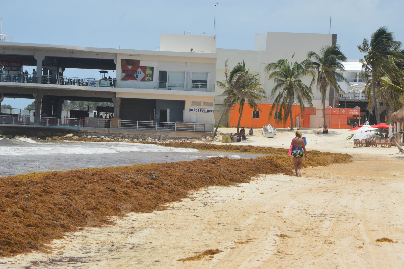 Recale de Sargazo 'vacía' las playas de turistas en Solidaridad, Quintana Roo