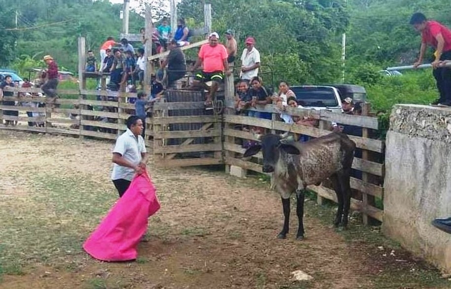 Empresario gallero pide suspender la Ley de Protección Animal en Quintana Roo