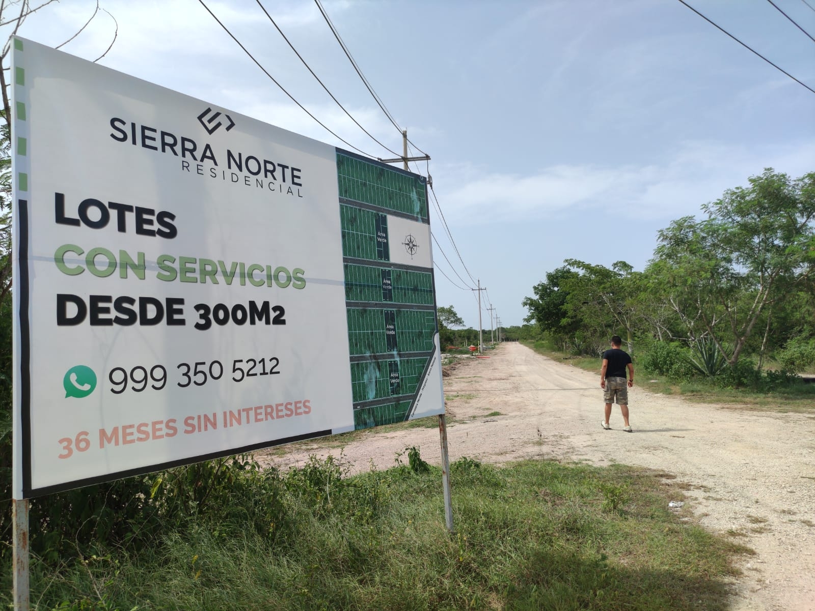 Loteros en Yucatán: Así operaron funcionarios y empresarios para quedarse con tierras ejidales