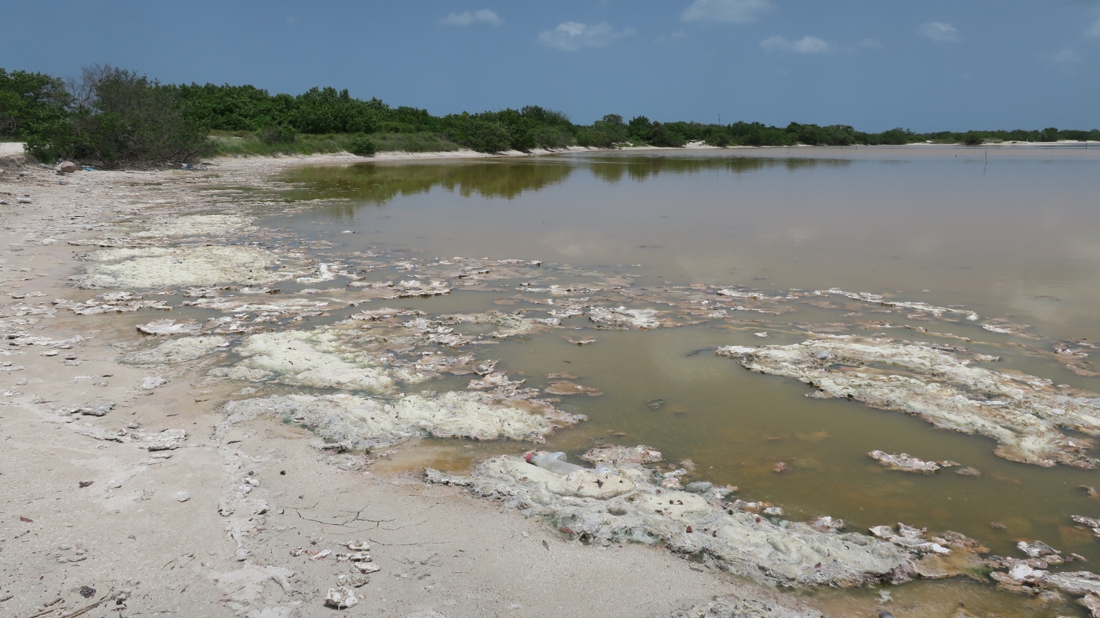 Salineras en Celestún, Yucatán, afectadas por las intensas lluvias