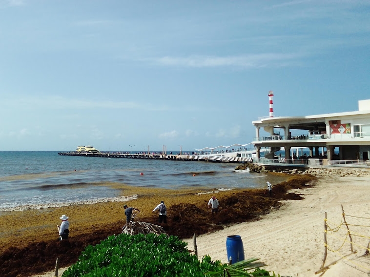 Las navieras Ultramar y Winjet se turnan para trabajar la ruta marítima Playa del Carmen-Cozumel