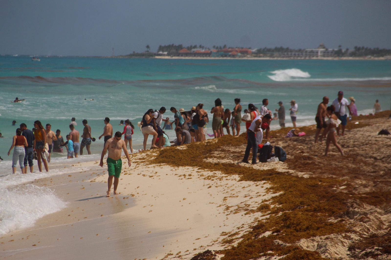 Semar indicó que se han recolectado más de 23 mil toneladas de sargazo de las playas de Quintana Roo en 2021