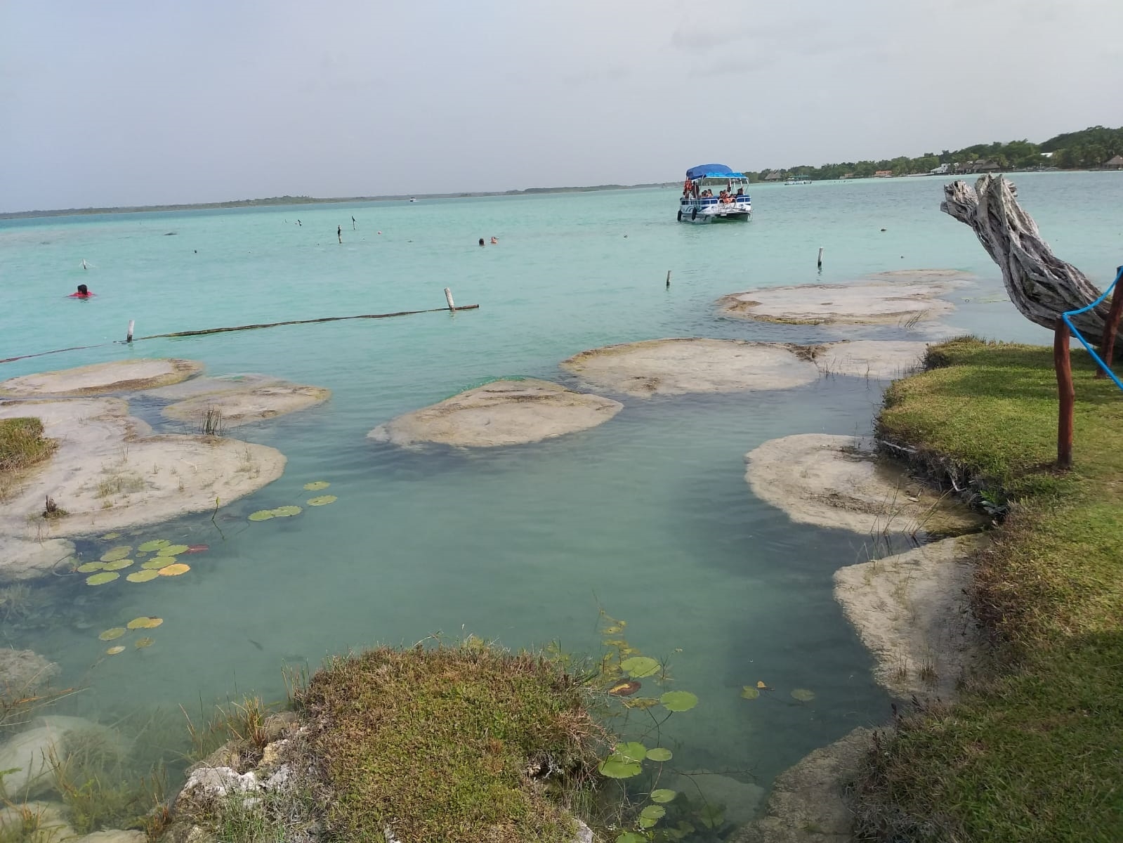 Piden a empresarios colocar letreros para cuidar estromatolitos en laguna de Bacalar