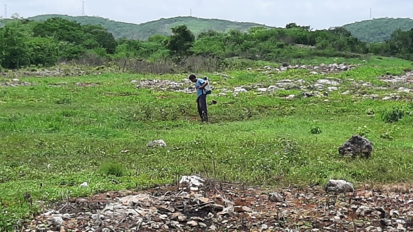Chihua, una alternativa para los campesinos de Hecelchakán, Campeche