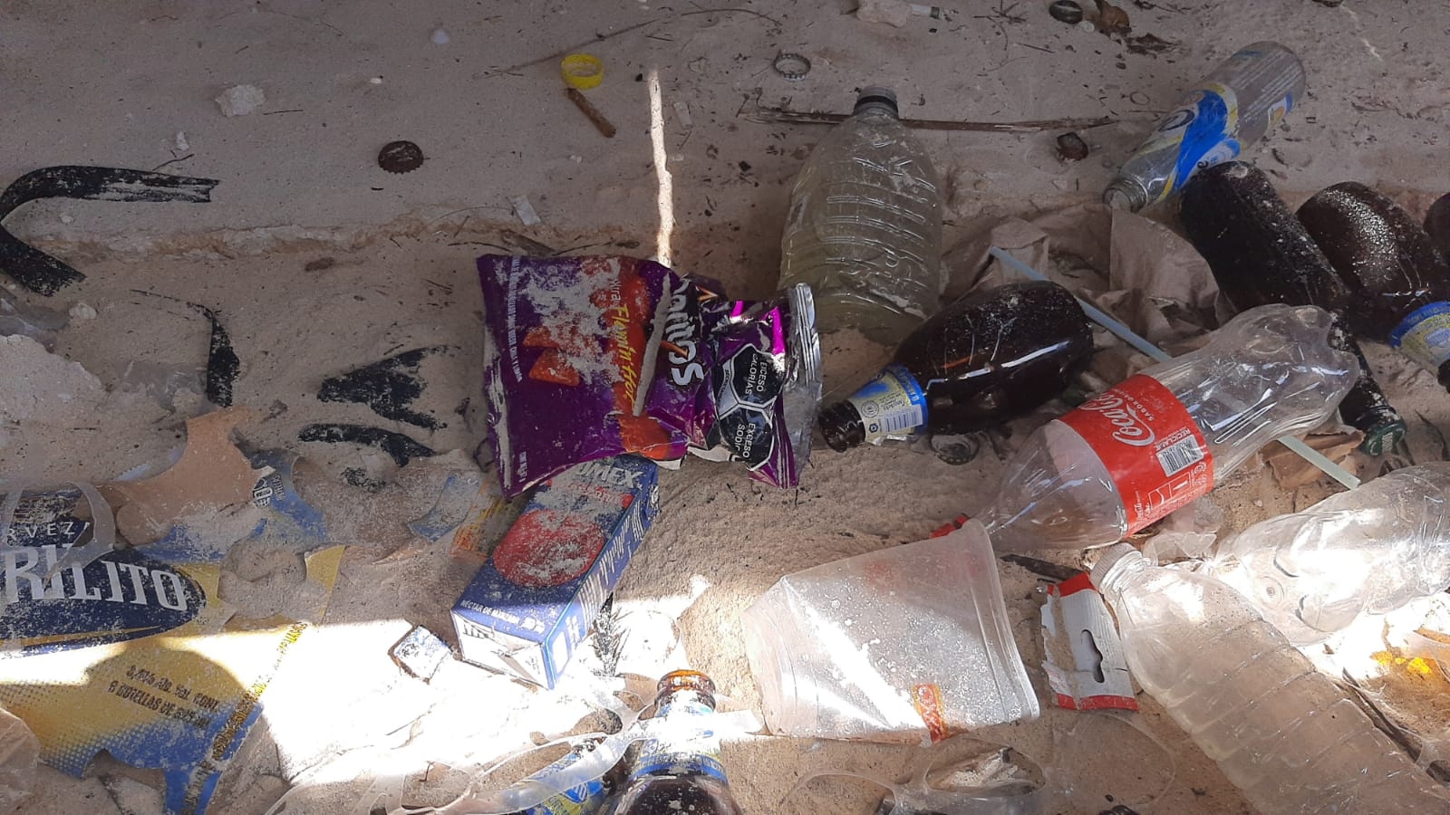 Sargazo y desechos de plástico recalan en la costa de Playa del Carmen