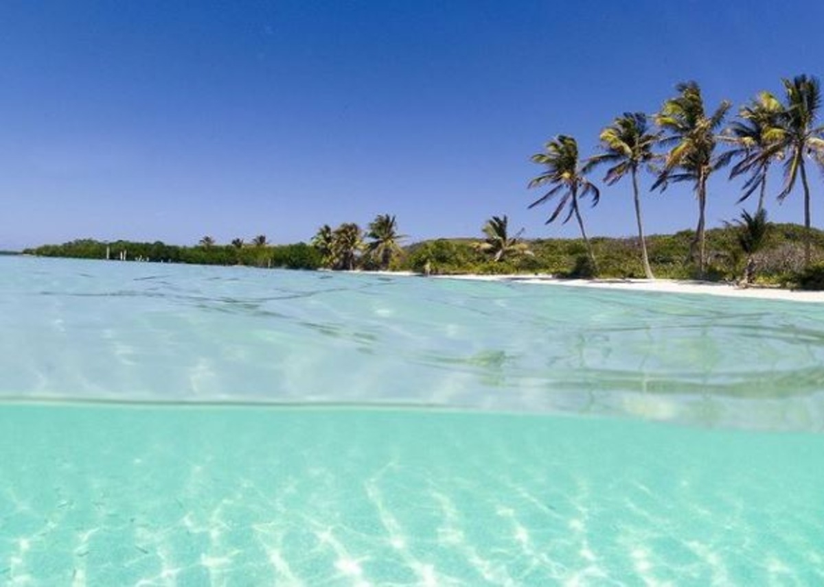 Las playas con menor afectación y limpias del sargazo son las del Municipio de Isla Mujeres con siete costas limpias