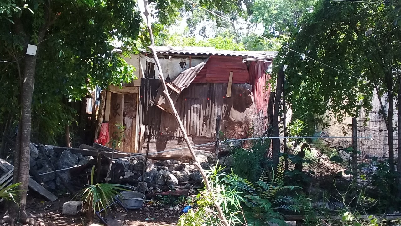 Habitantes de las zonas irregulares indicaron que el costo la renta de casas en Tulum es impagable, por lo que regresarán a la colonia