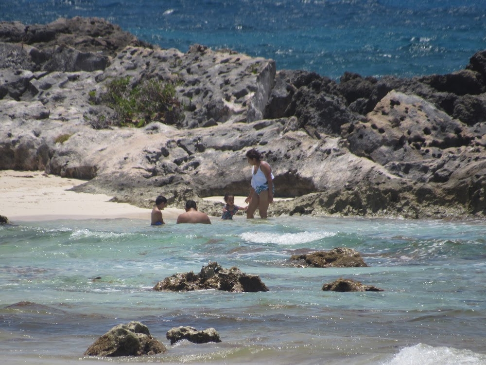 Cofepris niega contaminación de playas en Cozumel
