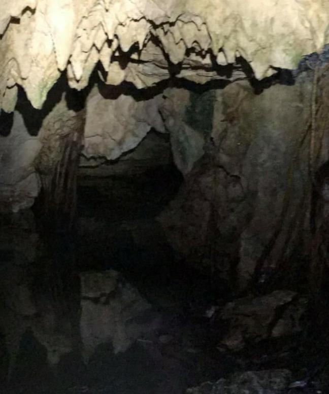 El Círculo Espeleológico del Mayab encontró esta caverna durante trabajo del proyecto 'Cenotes Urbanos' en Playa del Carmen