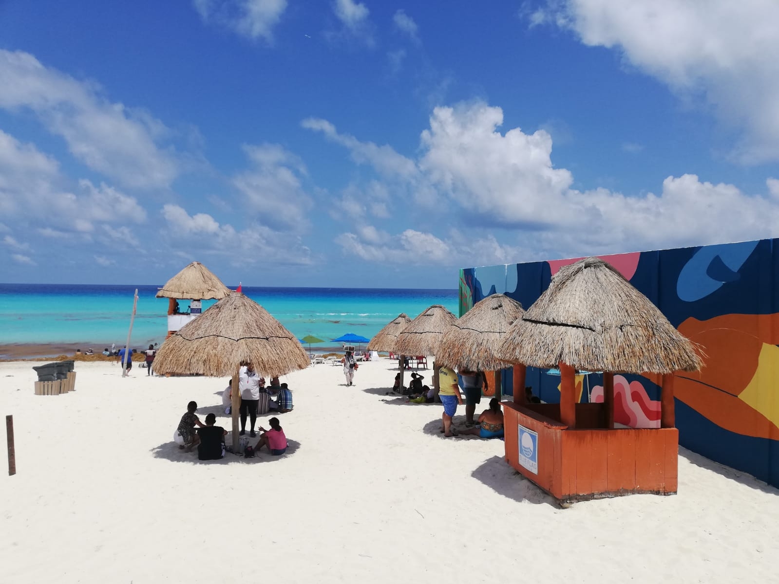 Así se ve el recale de sargazo en Playa Marlín de Cancún: FOTOS