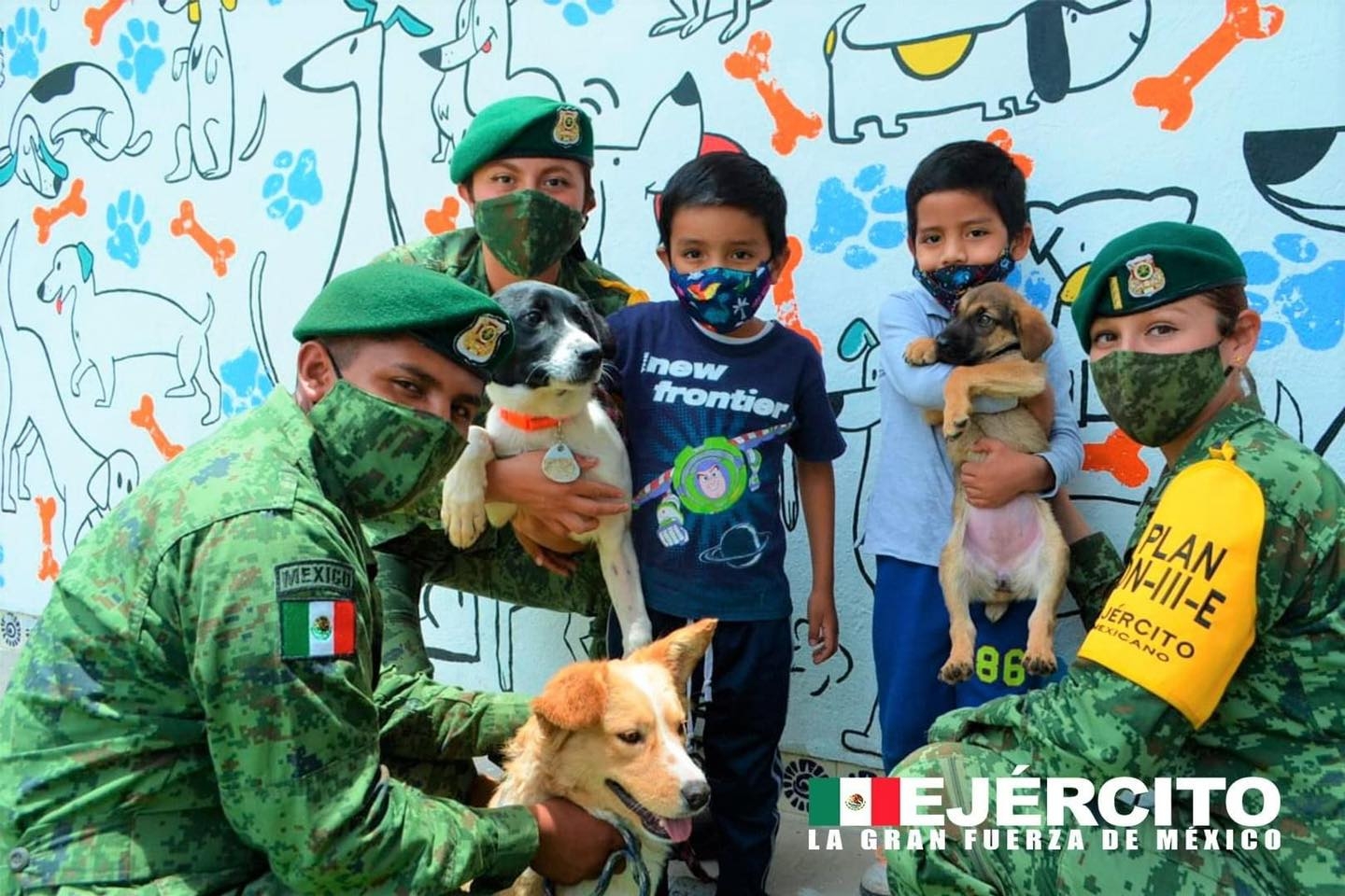 Sedena crea refugio para perritos callejeros que habitan afuera del aeropuerto de Santa Lucía