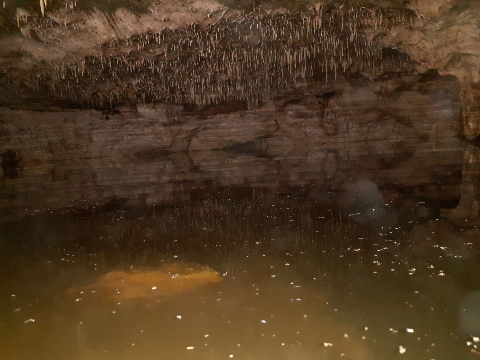 En el interior de la caverna se observan las estalactitas en la bóveda de la misma; especialistas estudiarán la cavidad natural en Cozumel