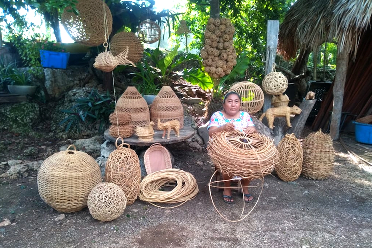 El bejuco se trabaja en la zona maya de Quintana Roo debido que los árboles crecen en la extensa selva, el municipio donde más se realiza esta artesanía es Felipe Carrillo Puerto y Tulum.