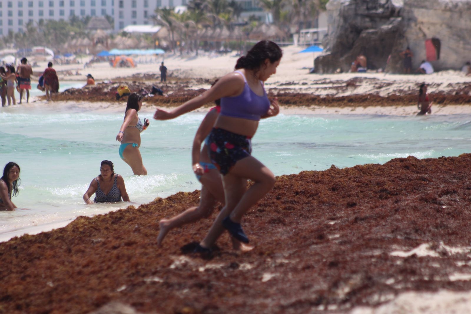 El recale de sargazo en las playas de Cancún no impidió que los bañistas disfrutaran de nadar y caminar a la orilla del arenal