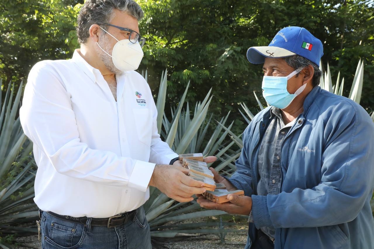 Mauricio Vila entrega abejas reina en apoyo a apicultores yucatecos