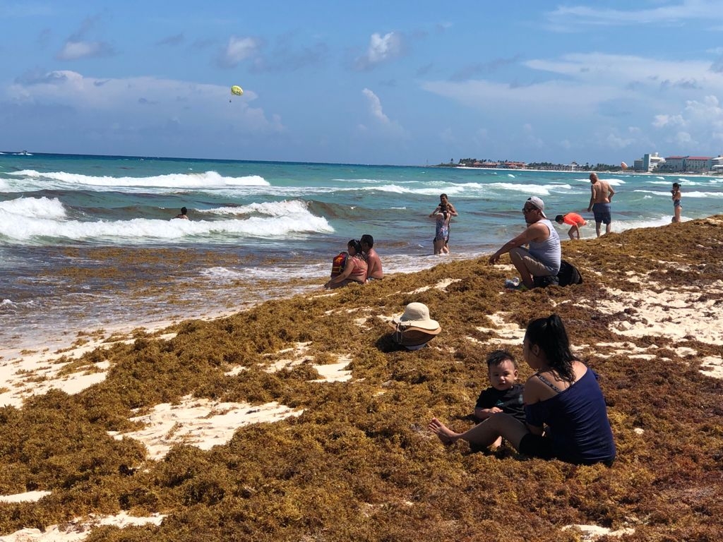 Turistas arriban a Playa Delfines pese a sargazo en Cancún: FOTOS