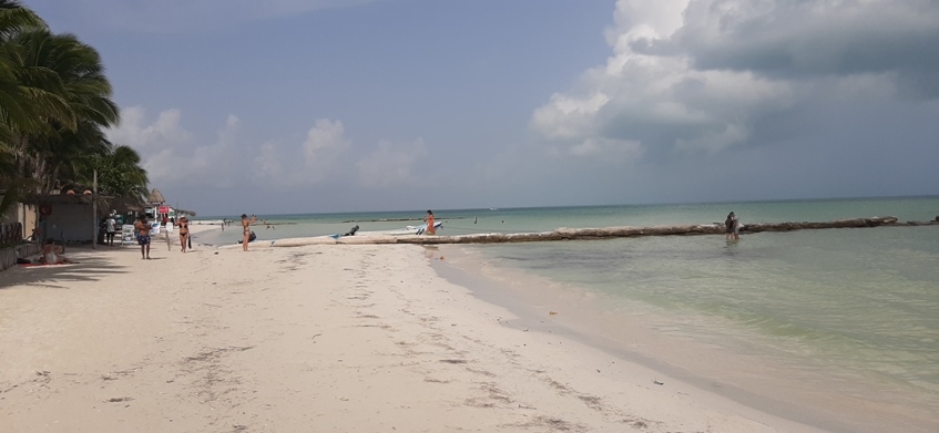Holbox presume playas limpias de sargazo, mientras que Cancún 'se inunda' del alga: FOTOS