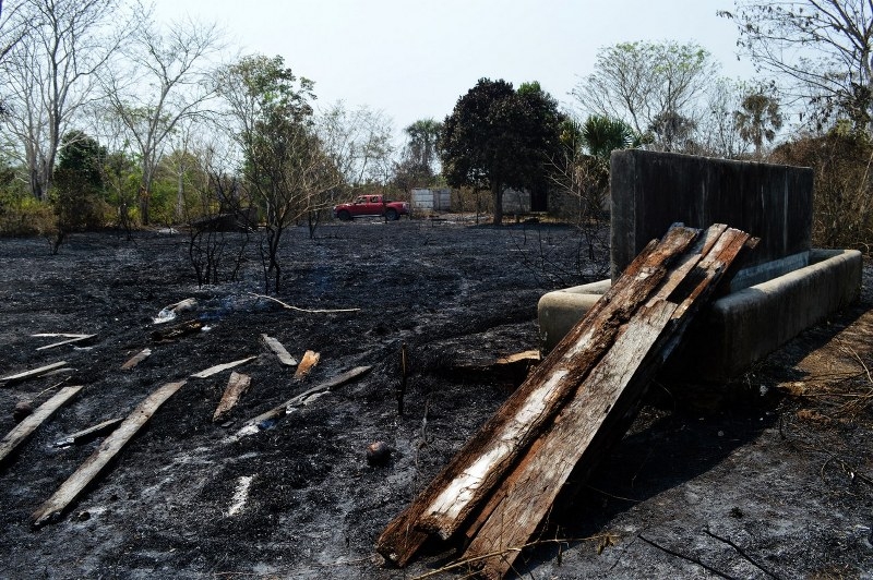 Hectáreas de tierras en las comunidades de Caobas y Arroyo negro al sur de Quintana Roo son incendiadas para deforestar espacios