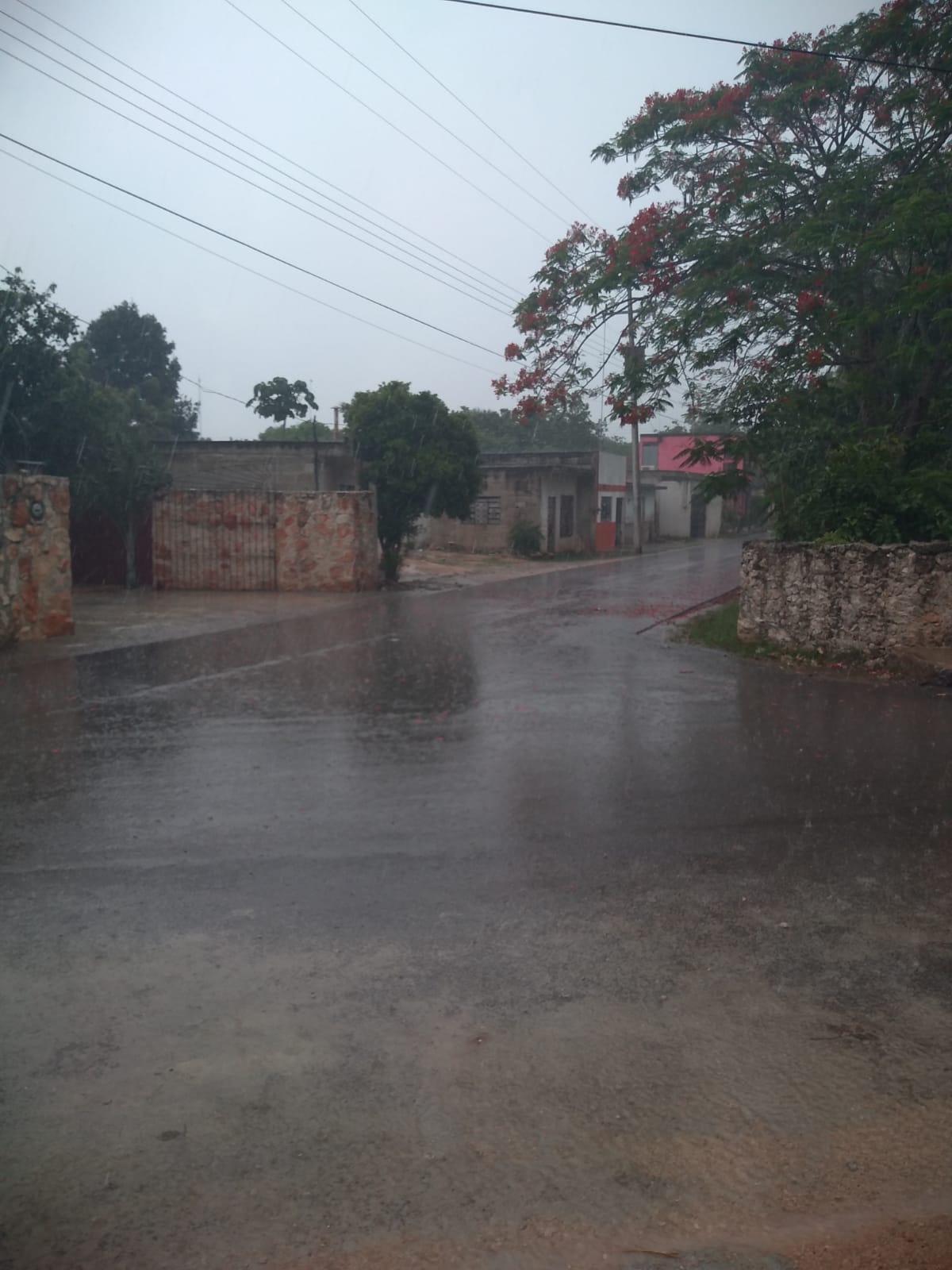 Clima Yucatán: SMN prevé un día caluroso con posibles lluvias por remanentes de Grace