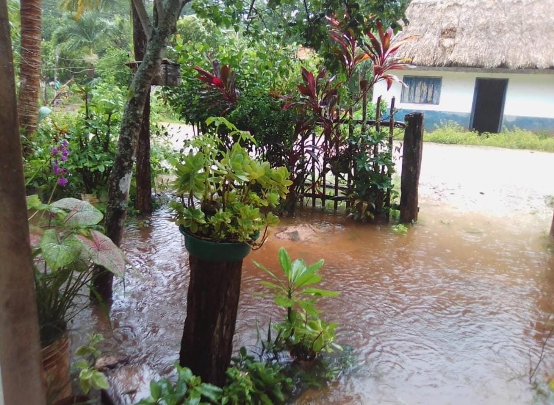 Comunidad maya sufre inundaciones tras paso del Huaracan Grace en Felipe Carrillo Puerto