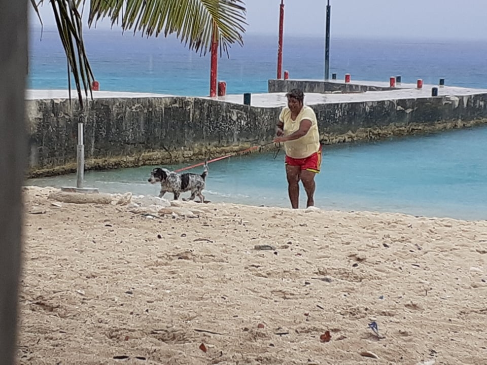 Vecinos denuncian a mujer por dejar las heces de sus perros en playas de Cozumel