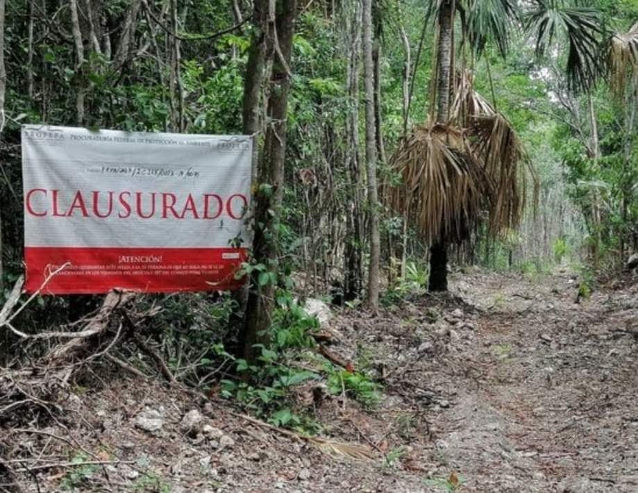 Denuncian ecocidio en el Estero de Chac en Chetumal, Quintana Roo