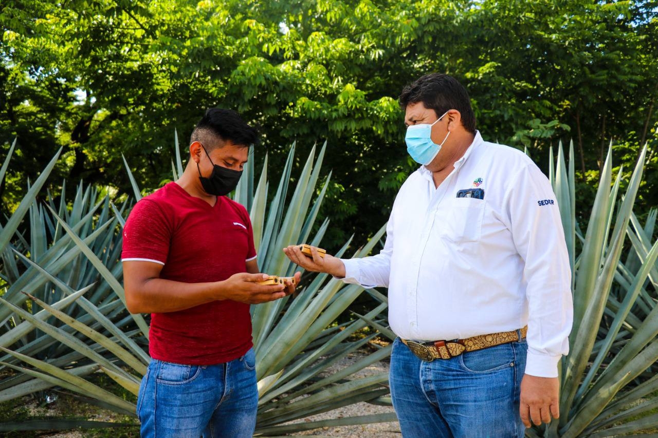 Gobierno de Yucatán entrega 150 paquetes de abejas reinas en Timucuy