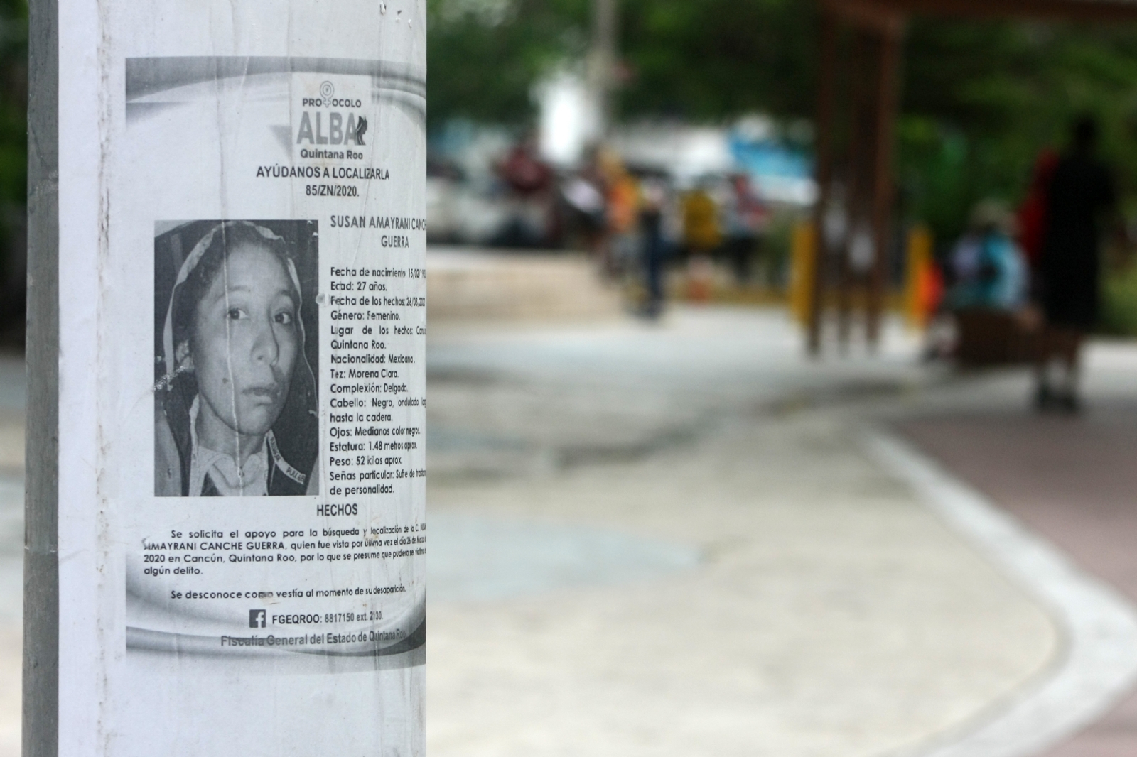 Cancún, Quintana Roo, de paraíso turístico a infierno: Registra 27 desaparecidos en agosto