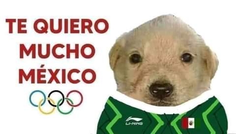 ¿Cuál es el origen del meme de perrito que apoya a los deportistas mexicanos en Tokio 2020?