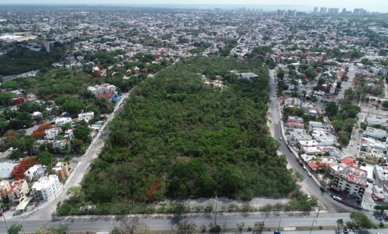 Asociación solicita amparo contra remodelación del Ombligo Verde en Cancún