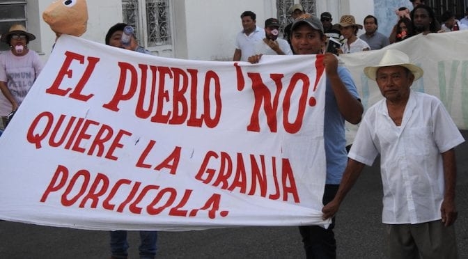 Megagranja de Kekén: Juez aplaza discusión por operación en Homún, Yucatán