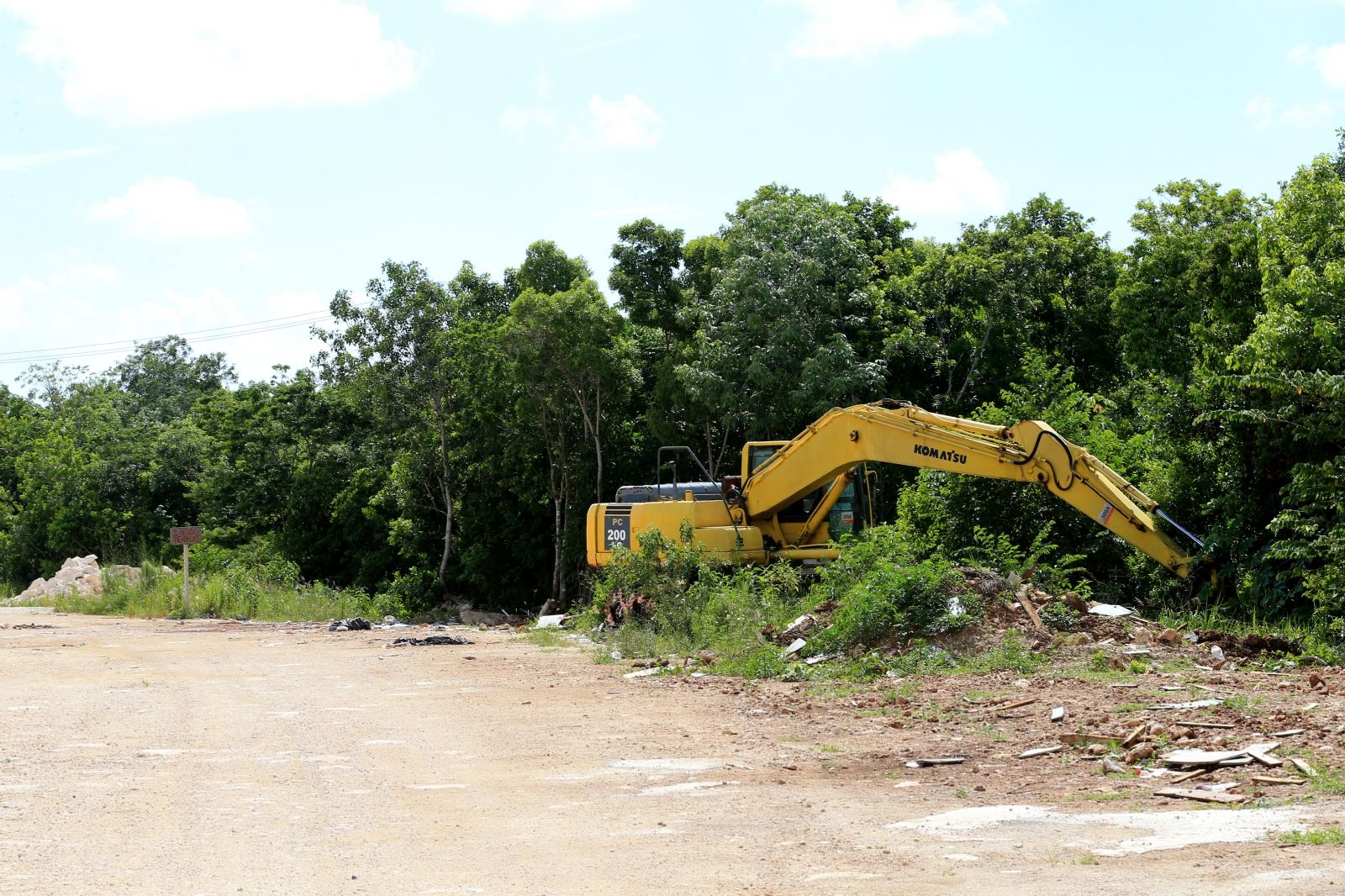 Inmobiliarias y agricultura 'depredan' más de cinco mil hectáreas de selva en Cancún