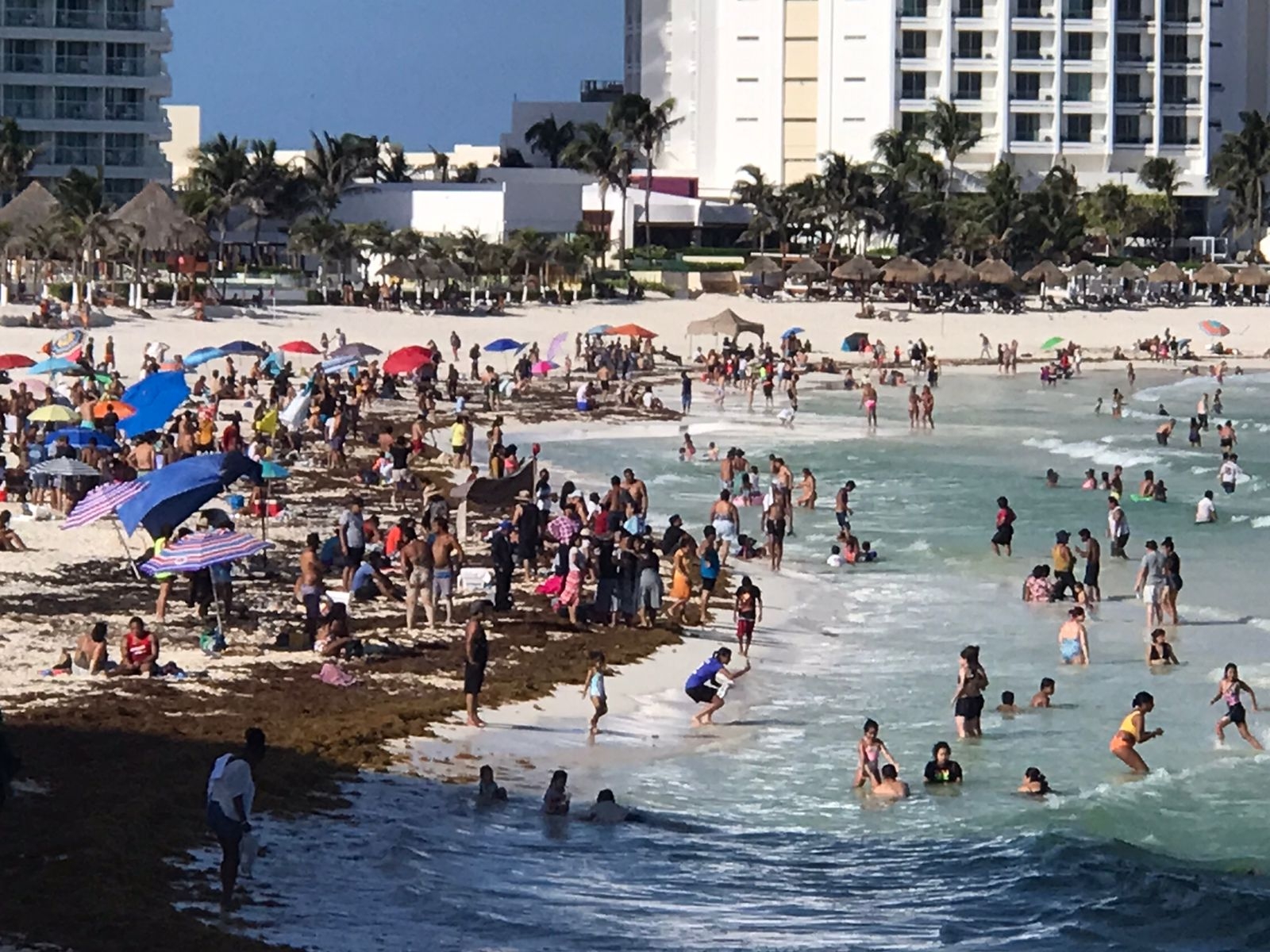 Playa Delfines y otras playas de la Zona Hotelera de Cancún se ven afectadas por el sargazo