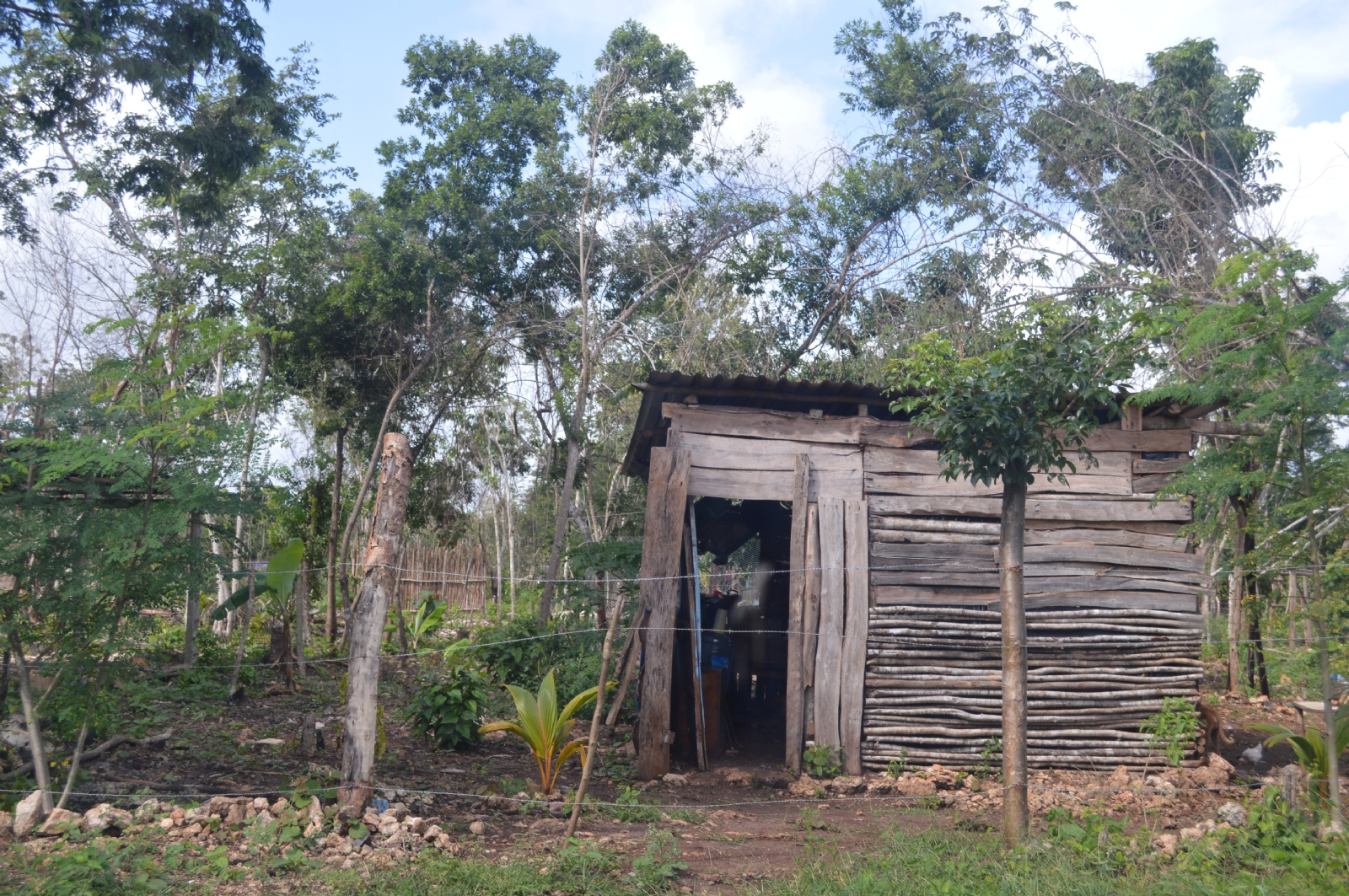 Existen 14 colonias irregulares en Chetumal, donde viven más de cinco mil habitantes en casas endebles