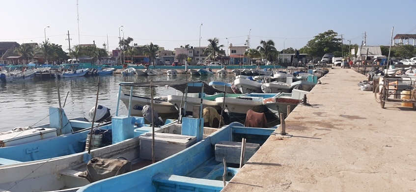 Frente Frío 30 paralizará otra vez la actividad pesquera de Yucatán