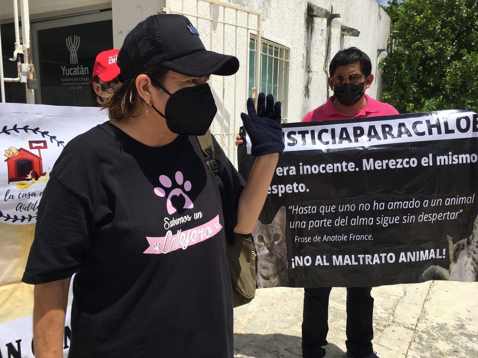Animalistas protestan contra casos de maltrato animal en Mérida