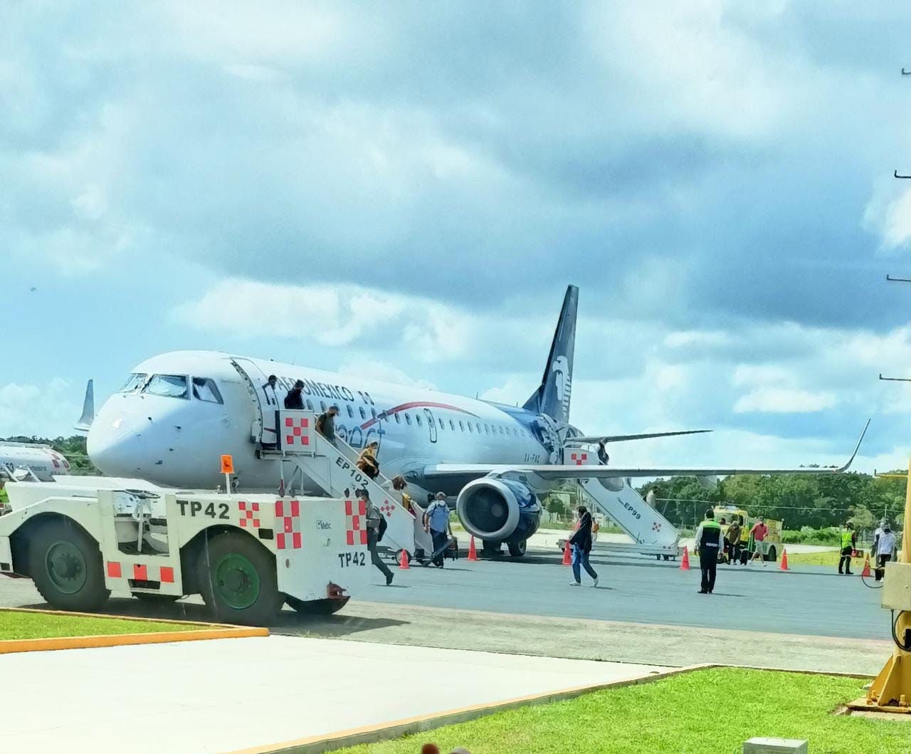 Aeropuerto de Chetumal: Parvada de zopilotes impide aterrizaje de dos aviones