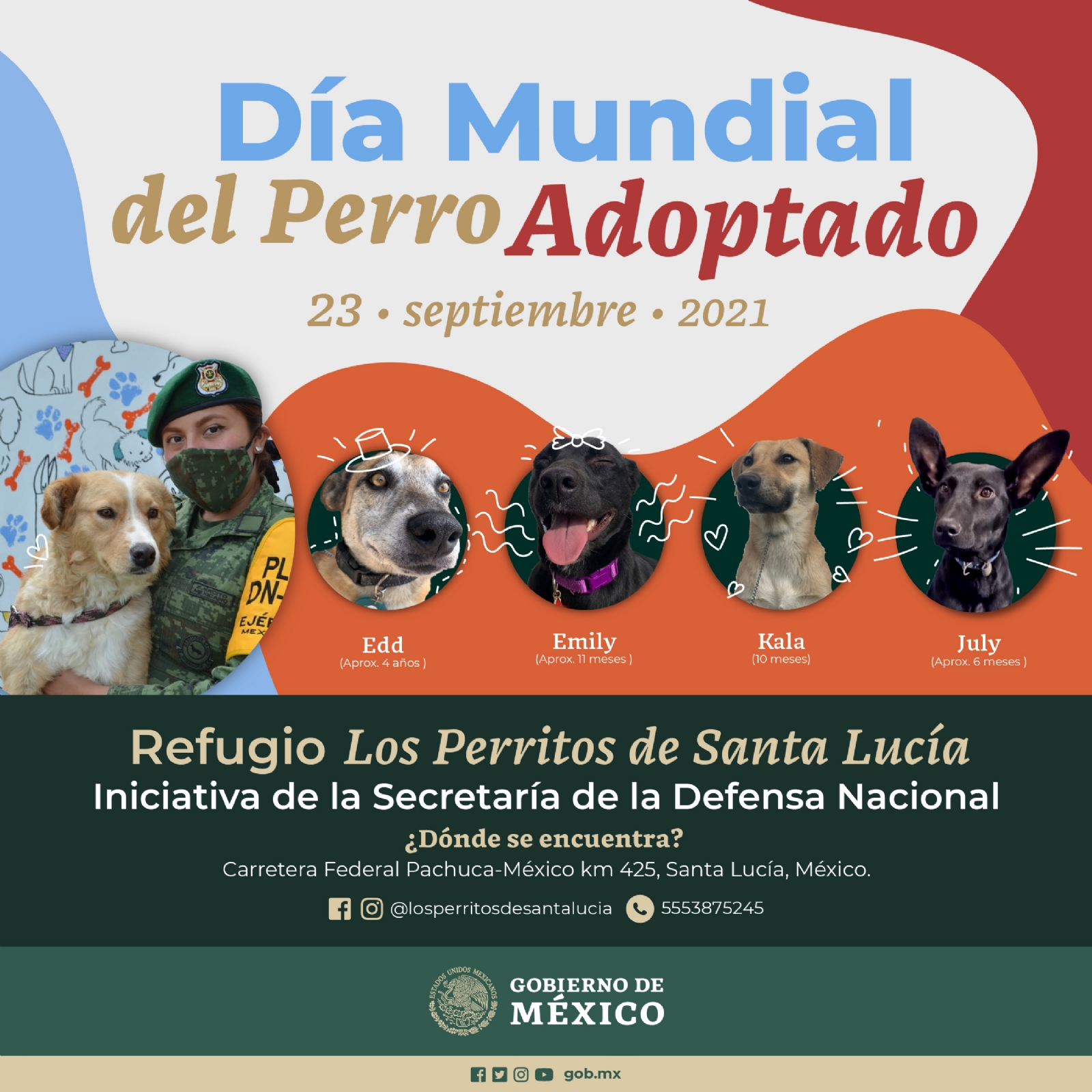 Esta iniciativa plantea rescatar perros que deambulan en las inmediaciones del Aeropuerto Internacional Felipe Ángeles