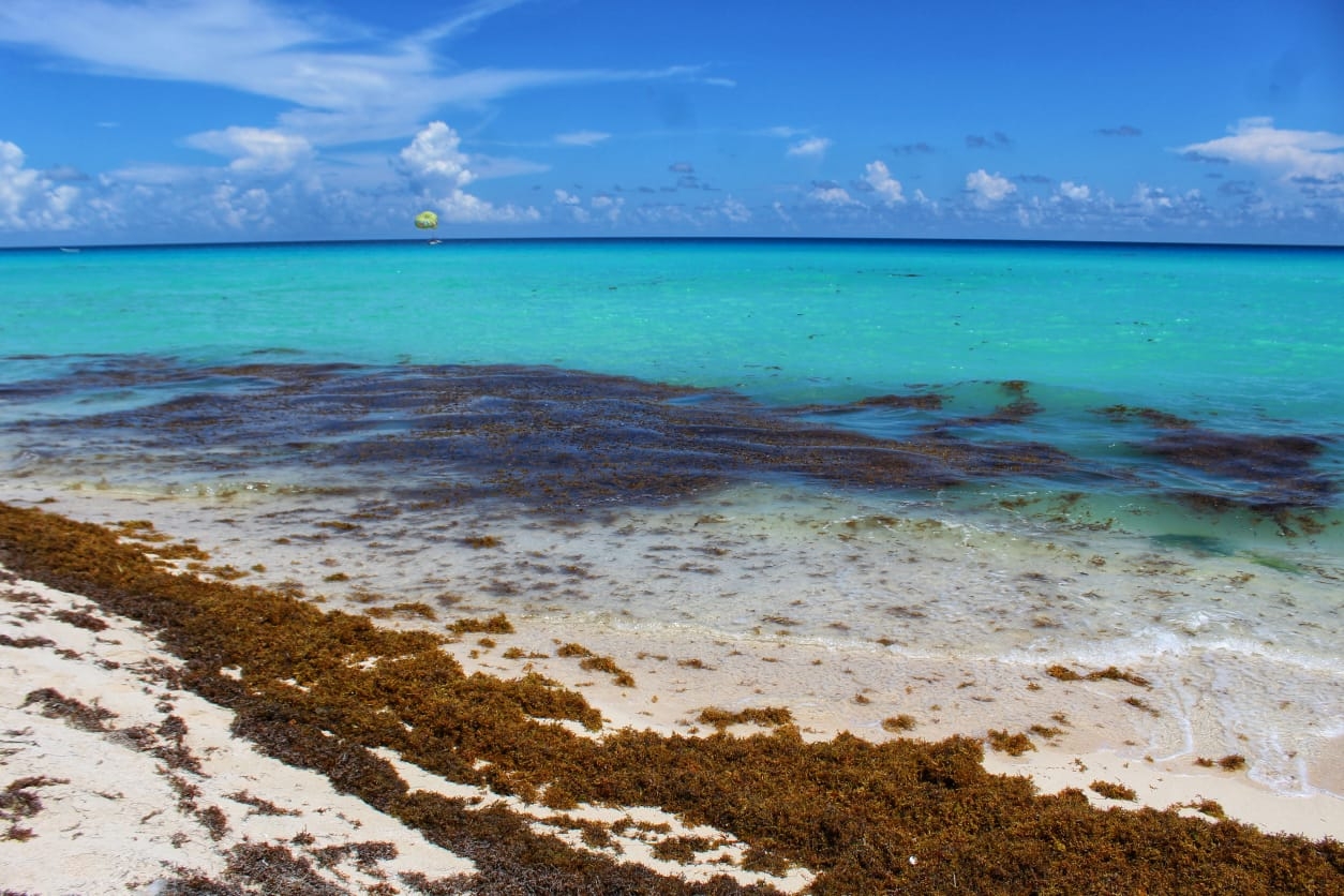 Clima Cancún: Se espera cielo nublado en la Península de Yucatán