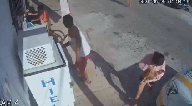 Usuaria de Facebook denuncia a taxista por machetear a un perro en Chetumal: VIDEO