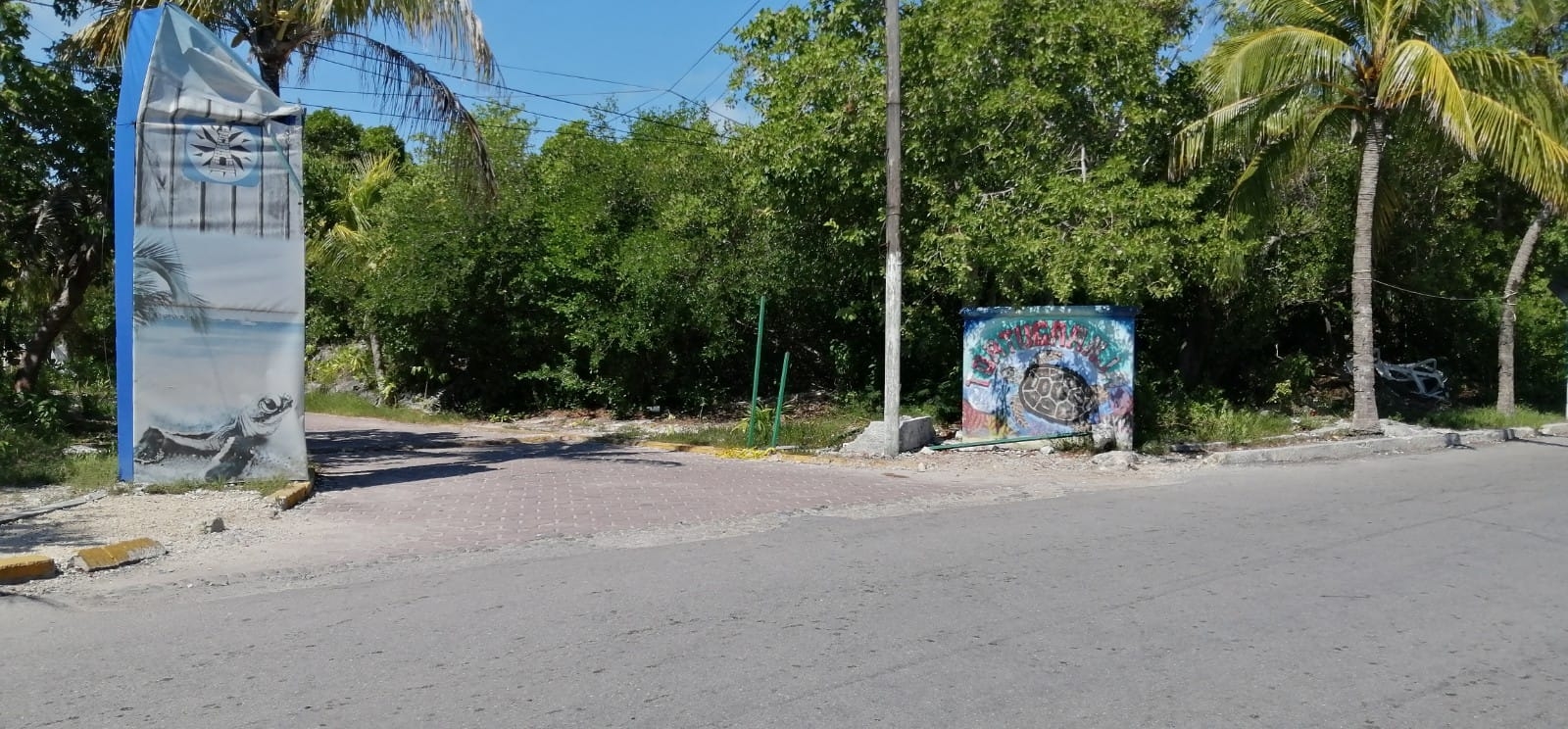 Cierra sus puertas la Tortugranja en Isla Mujeres, denuncian irregularidades
