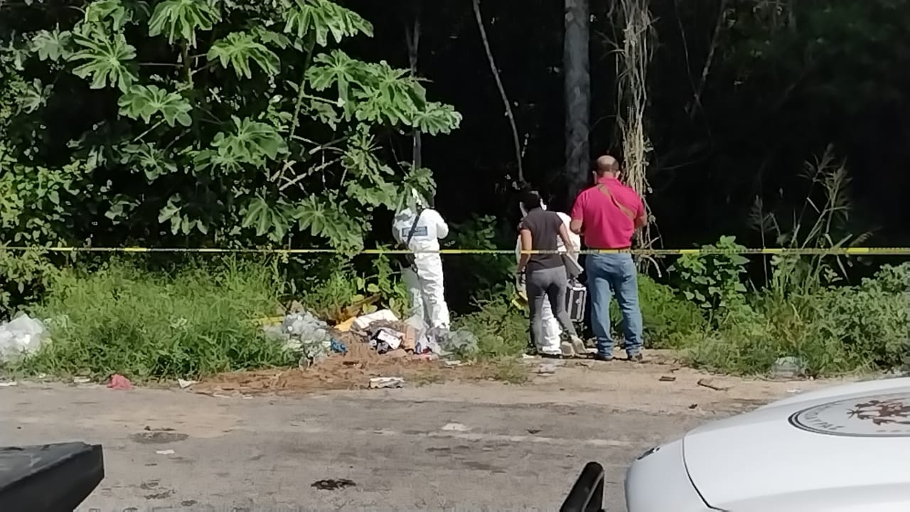 Hallan cuerpo en estado de descomposición en la carretera Carrillo Puerto-Tulum