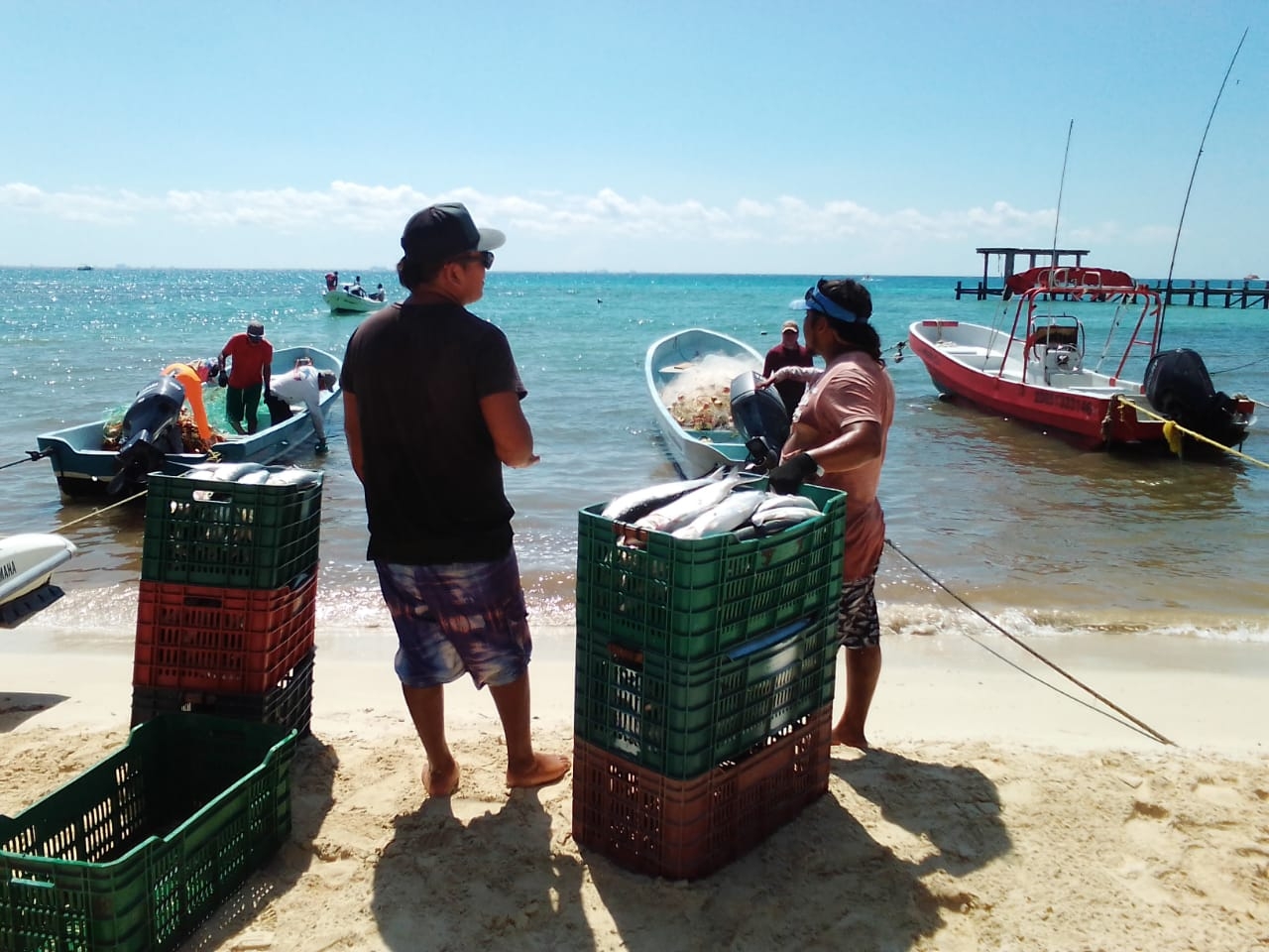 Inicia temporada de pesca de mojarra palometa y otras especies en Playa del Carmen