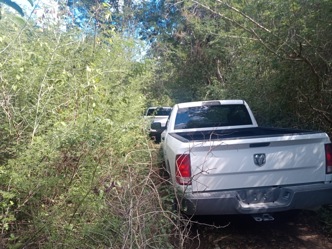 Hombre se cuelga de un árbol en Escárcega, Campeche