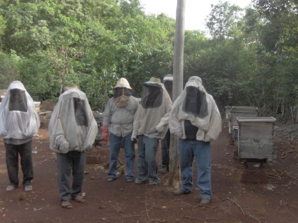 Los comerciantes municipales solicitaron al Gobierno agilizar los trámites para entrega de beneficios, como la azúcar, que sirve de alimento para las abejas