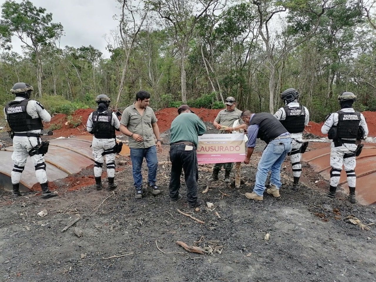 Clausuran centro clandestino de tala maderera y carbón vegetal en Dzibalchén, Campeche