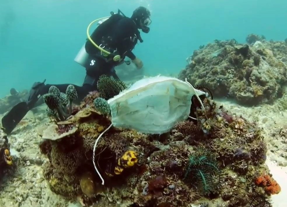 Recogen más de tres mil cubrebocas en el lecho marino de Isla Mujeres