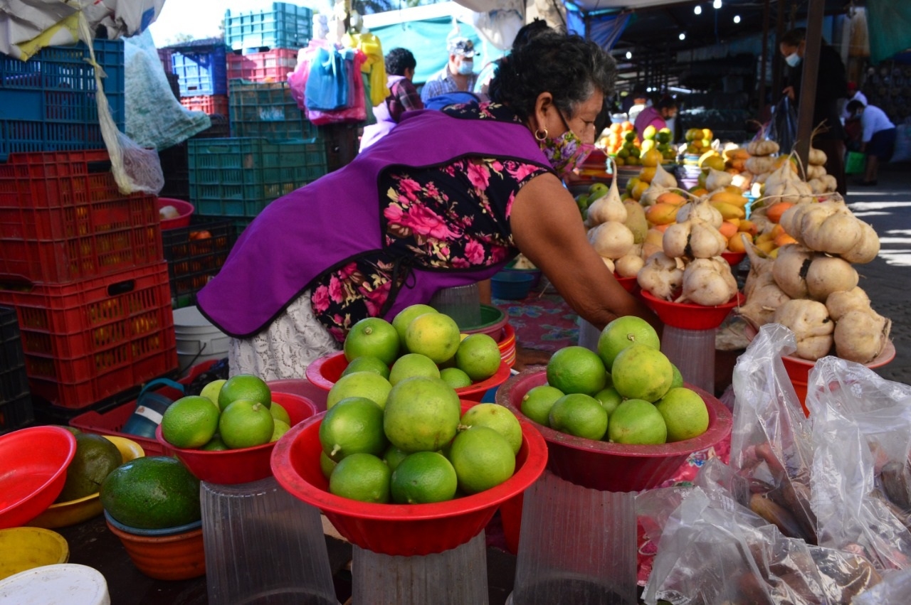 Incrementa precio de limón en Campeche; productores venden el kilo hasta en 30 pesos